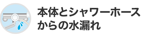 本体とシャワーホースからの水漏れ