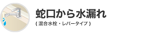 蛇口から水漏れ