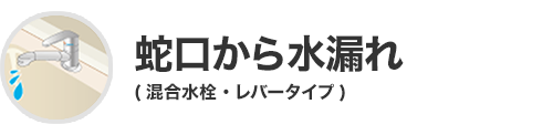 蛇口から水漏れ