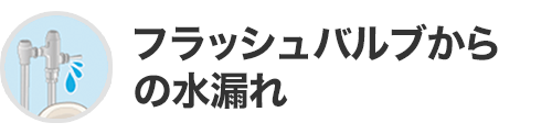 フラッシュバルブからの水漏れ