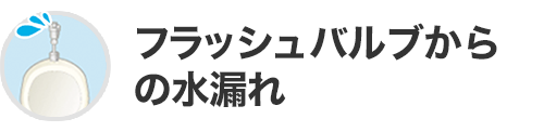 フラッシュバルブからの水漏れ
