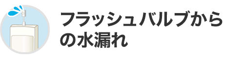 フラッシュバルブからの水漏れ