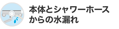 本体とシャワーホースからの水漏れ