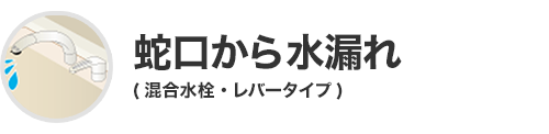 蛇口から水漏れ