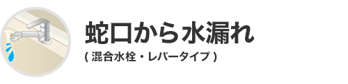 蛇口から水漏れ