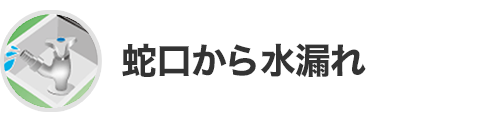 蛇口から水漏れ